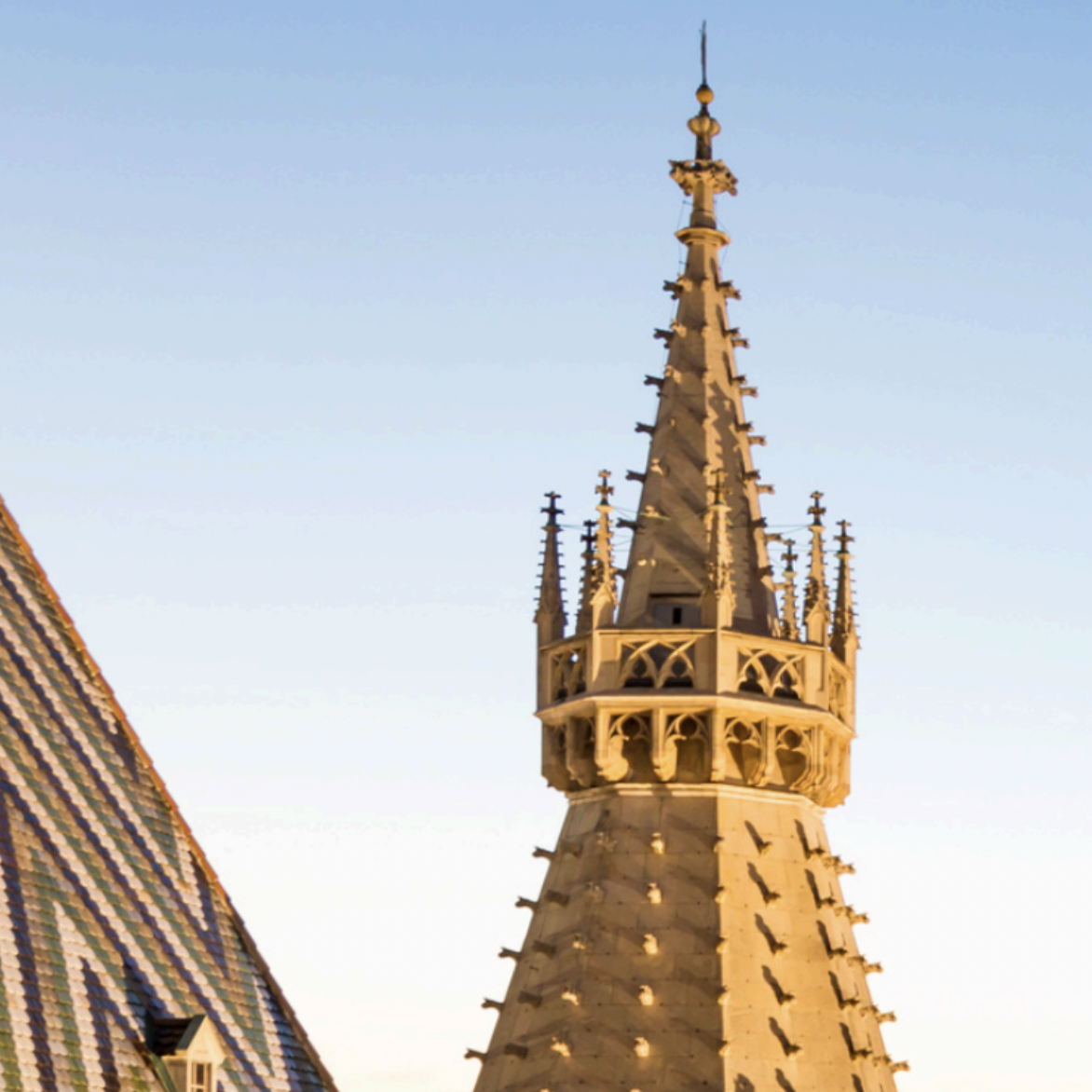 Amadeus Summer Camps